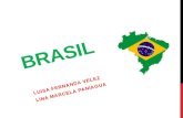 Presentacion brasil