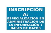 Proceso Inscripción Especialización Administración de la Información y Bases de Datos