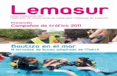 Lemasur - Revista 3º trimestre 2011
