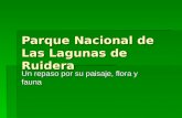 Parque Nacional de Las Lagunas de Ruidera