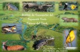 Parque ecológico de concepción del yaguareté corá flores-marcon