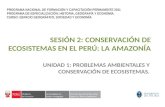 Conservación de Ecosistemas en el Perú: La Amazonia