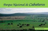 Parque Nacional de Cabañeros