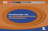 Protocolos de Acompamiento_Pedagógico_ed_2014