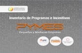 Estudio PyMEs- Instituto de Política Pública