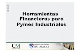 Herramientas financieras para pymes industriales