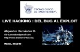 Live Hacking : del Bug al Exploit