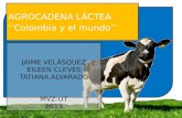 Cadena láctea colombiana