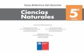 Ciencias naturales   5° básico (gdd)