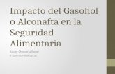 Gasohol o Alconafta y su Impacto en la Seguridad Alimentaria