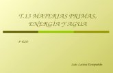 Materias primas y energia