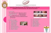 Reaccion al Tratamiento  periodontal -mantenimiento /periodoncia