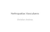 Nefroesclerosis - Christian Jimenez