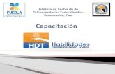 CapacitacióN  HDT 2