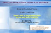 MEJORAMIENTO DE LA PRODUCTIVIDAD MEDIANTE LA  TECNOLOGÍA Y MATERIALES 1