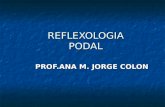 Copy Of Reflexologia
