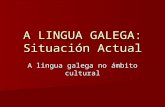 A Lingua No áMbito Cultural Por Diego, Susana, Manuel E Iria (4ºA E S O)