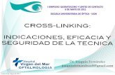 Cross linking complutense