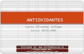 Wellness antioxidante