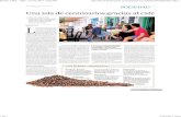 Una isla de centenarios gracias al café - Diario ABC