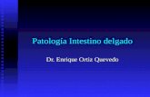 Patología intestino delgado