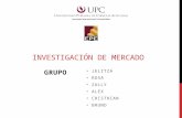 UPC / Investigacion de Mercados / Cualitativa