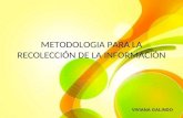 Metodologia para la recolección de la información-vivianagalindo