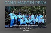 Análisis del agua del Cano Martin Peña:Vinculación Comunitaria 2009