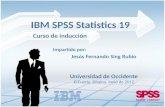IBM SPSS STATISTICS 19