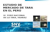 Estudio de Mercado de Tara en el Perú