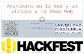 [Hack Fest SLP] Anonimato en la Red y un vistazo a la Deep Web