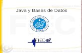 Java y Bases de Datos