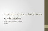Plataformas educativas o virtuales