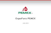 Expo pemex realidad económica