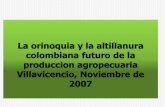 La orinoquia y la altillanura  colombiana futuro de la produccion agropecuaria