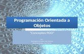 Programación orientada a objetos (Dominguez Gonzalez, Jose Antonio & Perez Hernandez, Juan Daniel)