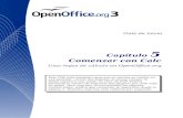 Manual de uso - Open Office Calc