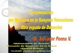 Contaminación por mercurio en la Guayana Venezolana: Otra espada de Damocles