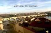 Zamora, mi ciudad a