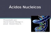 áCidos nucleicos upn