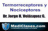 Termorreceptores y Nociceptores