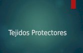 Tejidos protectores Csr LBDB