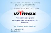 Wimax _ por Guadalupe SV