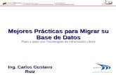 Mejores prácticas para migración de Bases de Datos