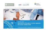 Juan Ruiz Alzola-Programa de apoyo a la innovación. Jornada SCE Incentivos Fiscales y otros apoyos al Sector Industrial. 21 Marzo 2013