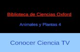 Conocer Ciencia - Animales: peces y anfibios - Biologia 4