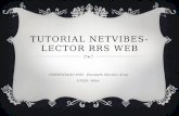 Tutorial netvibes lector RSS web