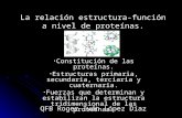 Proteinas: función y estructura