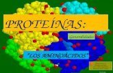 Generalidades proteinas