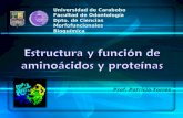Estructura y función de aminoácidos y proteínas